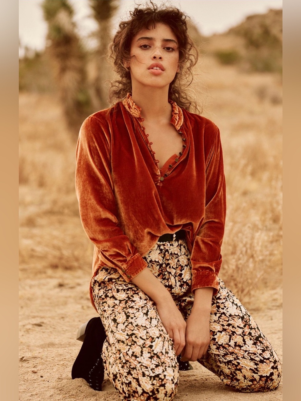 Anthropologie Kristianne Velvet Blouse in Cinnamon (Price Firm) - Picture 2 of 9